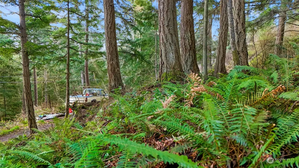 2981 Hales Passage Drive Lummi Island, WA 98262