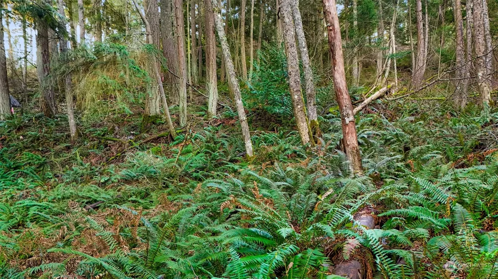 2981 Hales Passage Drive Lummi Island, WA 98262