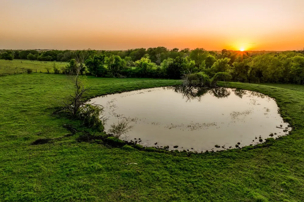 20751 Fm 1155 E Washington, TX 77880
