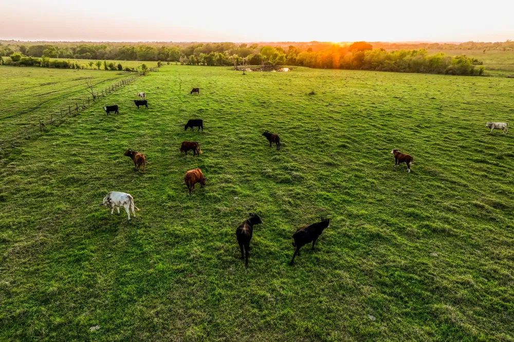 20751 Fm 1155 E Washington, TX 77880