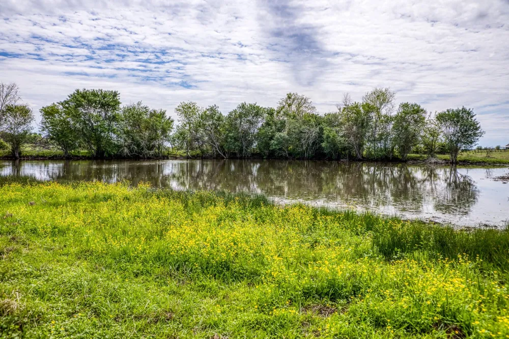 20751 Fm 1155 E Washington, TX 77880