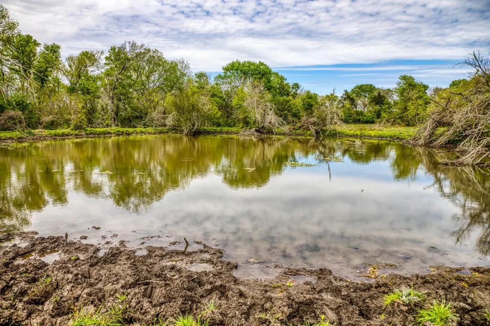 20751 Fm 1155 E Washington, TX 77880