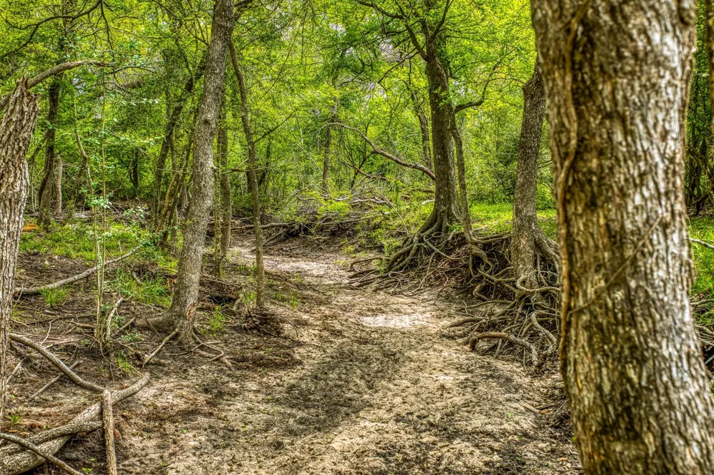 20751 Fm 1155 E Washington, TX 77880