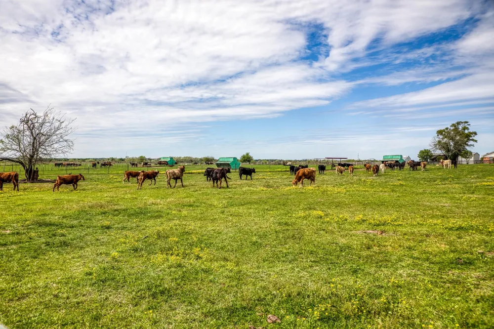 20751 Fm 1155 E Washington, TX 77880