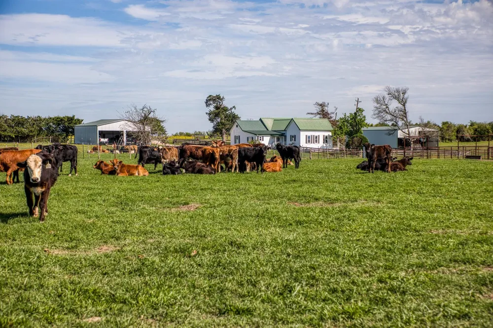 20751 Fm 1155 E Washington, TX 77880