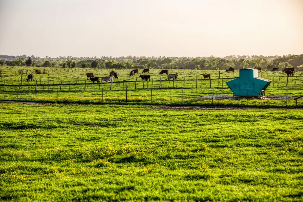 20751 Fm 1155 E Washington, TX 77880