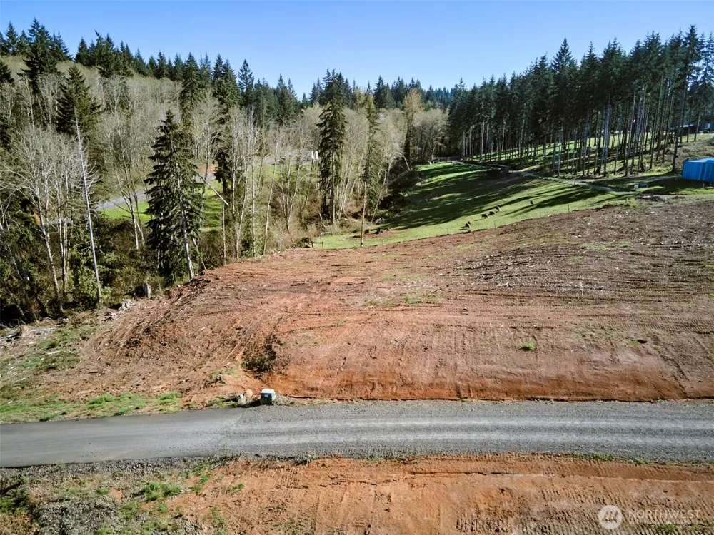 315 Dolan Road Castle Rock, WA 98611