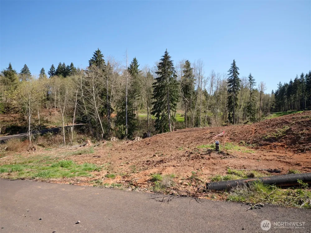 315 Dolan Road Castle Rock, WA 98611
