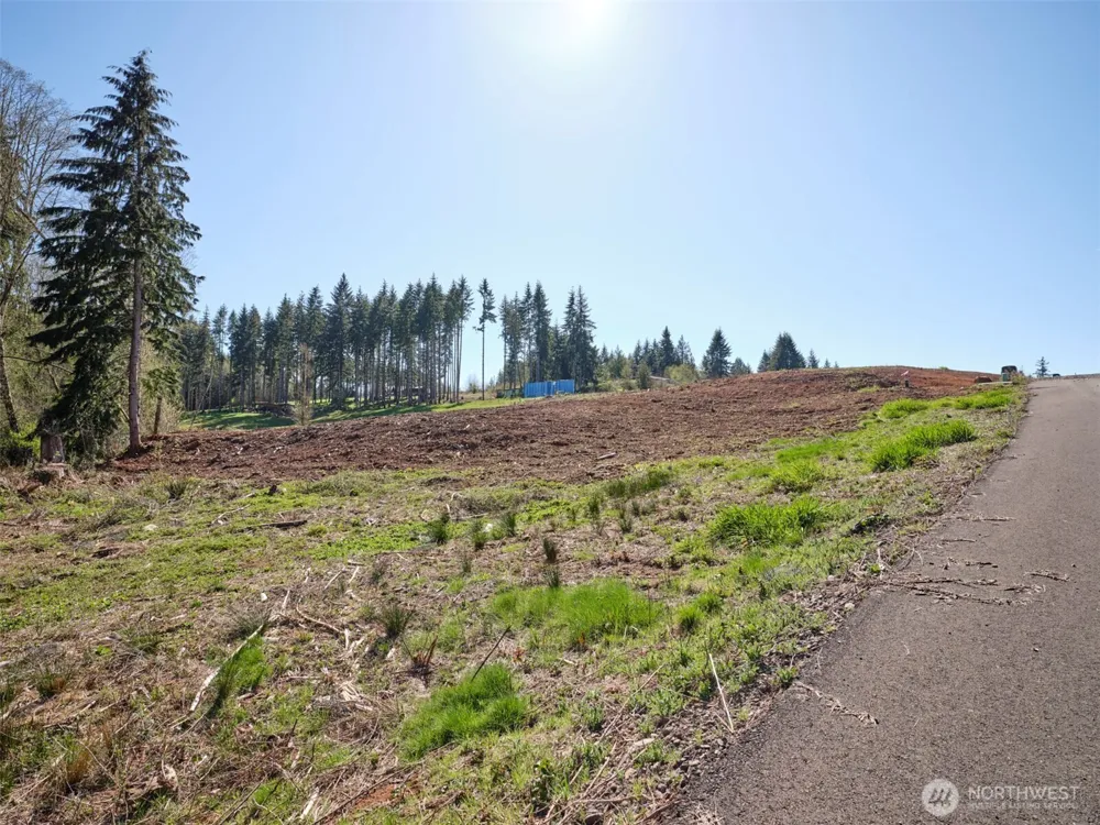 315 Dolan Road Castle Rock, WA 98611