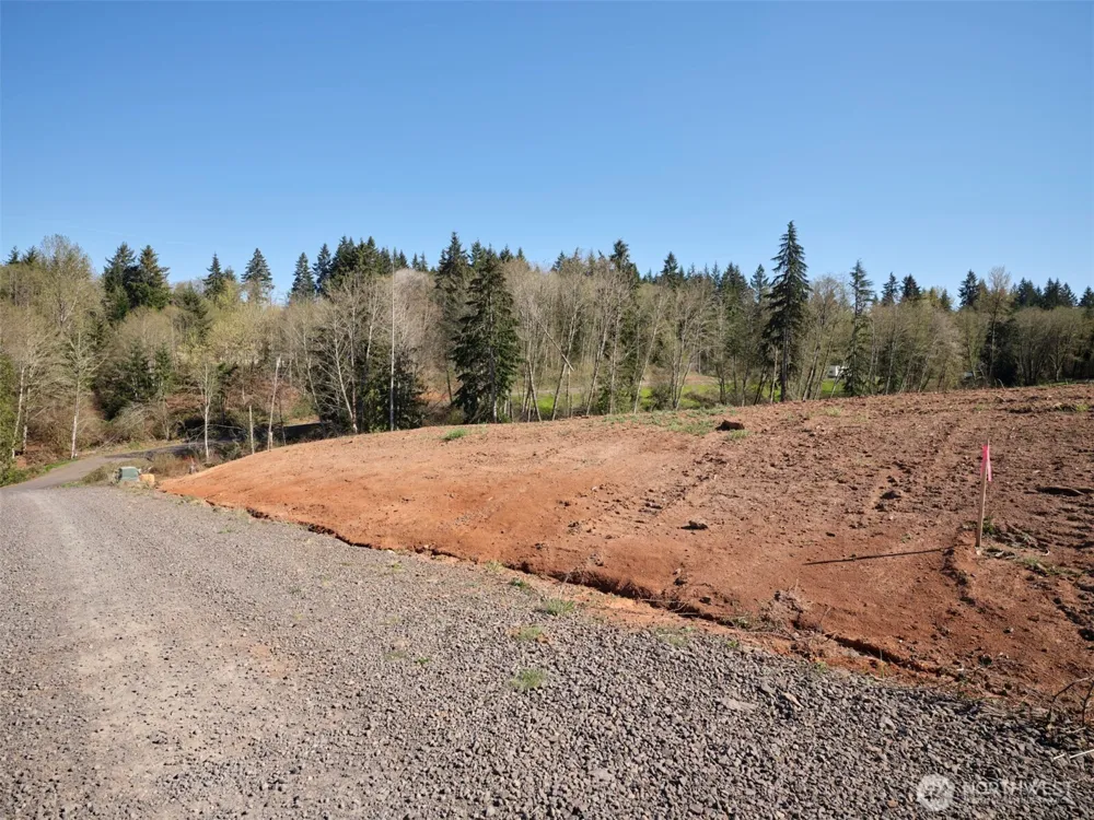 315 Dolan Road Castle Rock, WA 98611