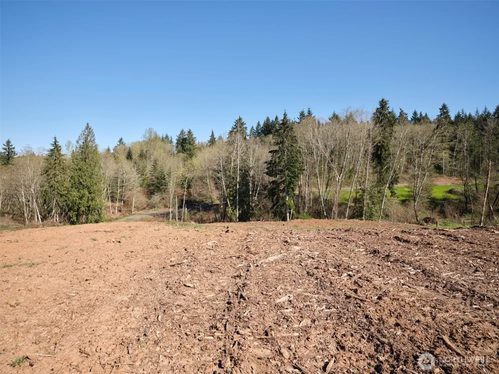 315 Dolan Road Castle Rock, WA 98611