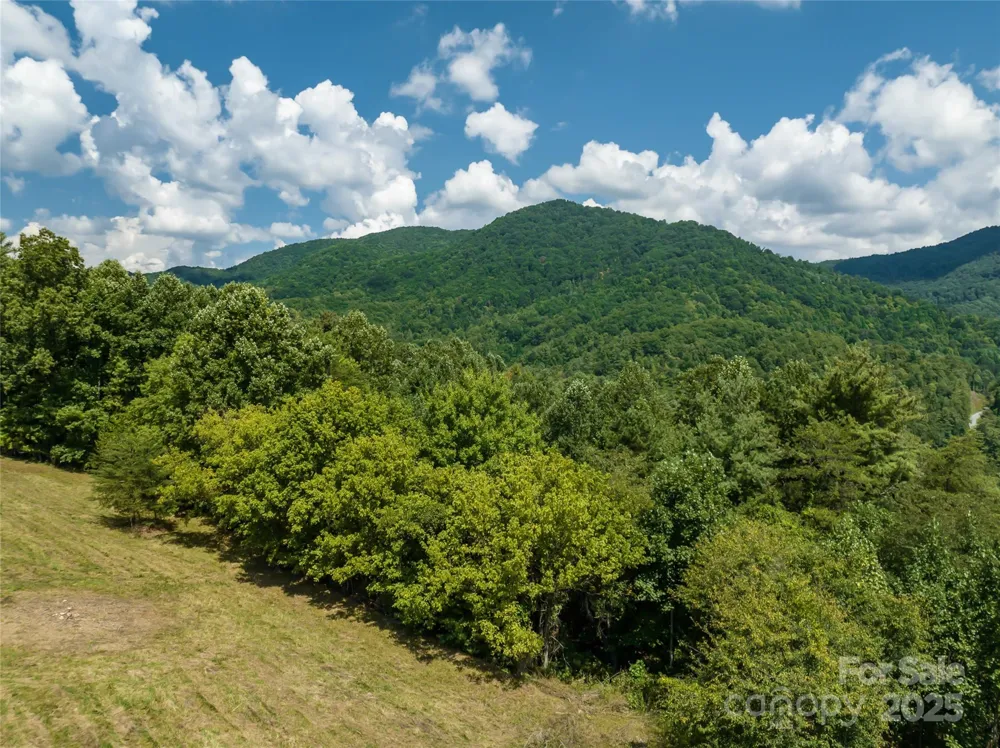 101 Red Maple Run #1 Marshall, NC 28753