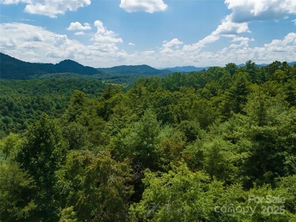 101 Red Maple Run #1 Marshall, NC 28753
