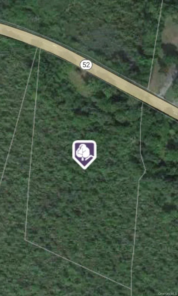 2396 Route 52 Hopewell Junction, NY 12533