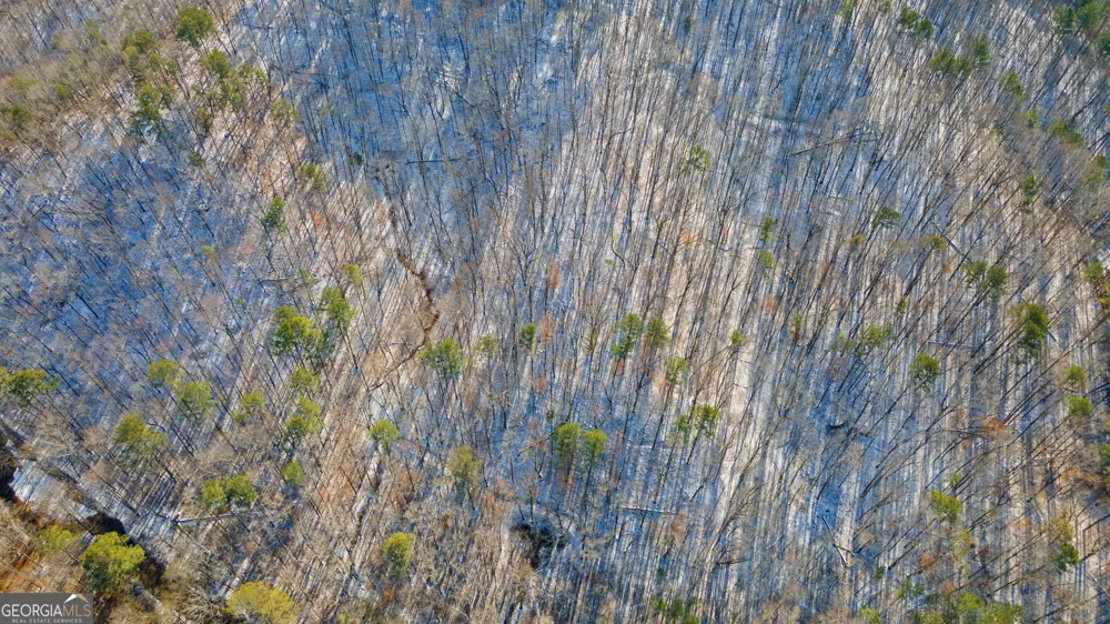LL 219 Yukon RD Talking Rock, GA 30175