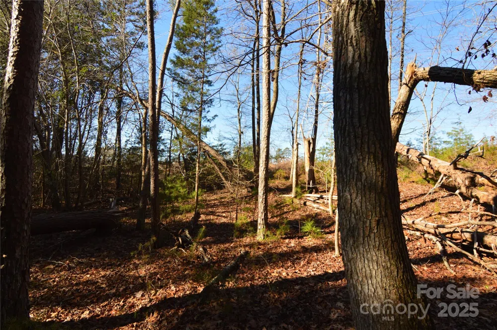 5036 Hermitage Court #211 Belmont, NC 28012