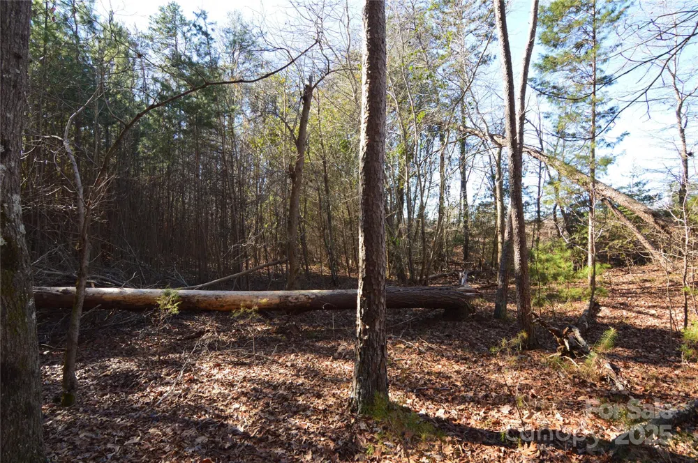 5036 Hermitage Court #211 Belmont, NC 28012