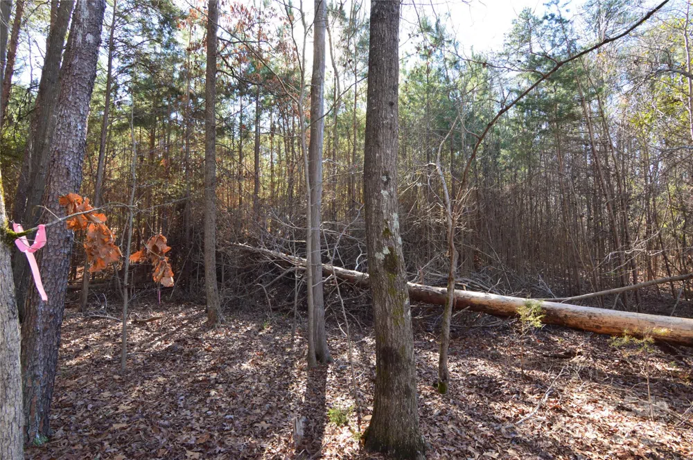 5036 Hermitage Court #211 Belmont, NC 28012