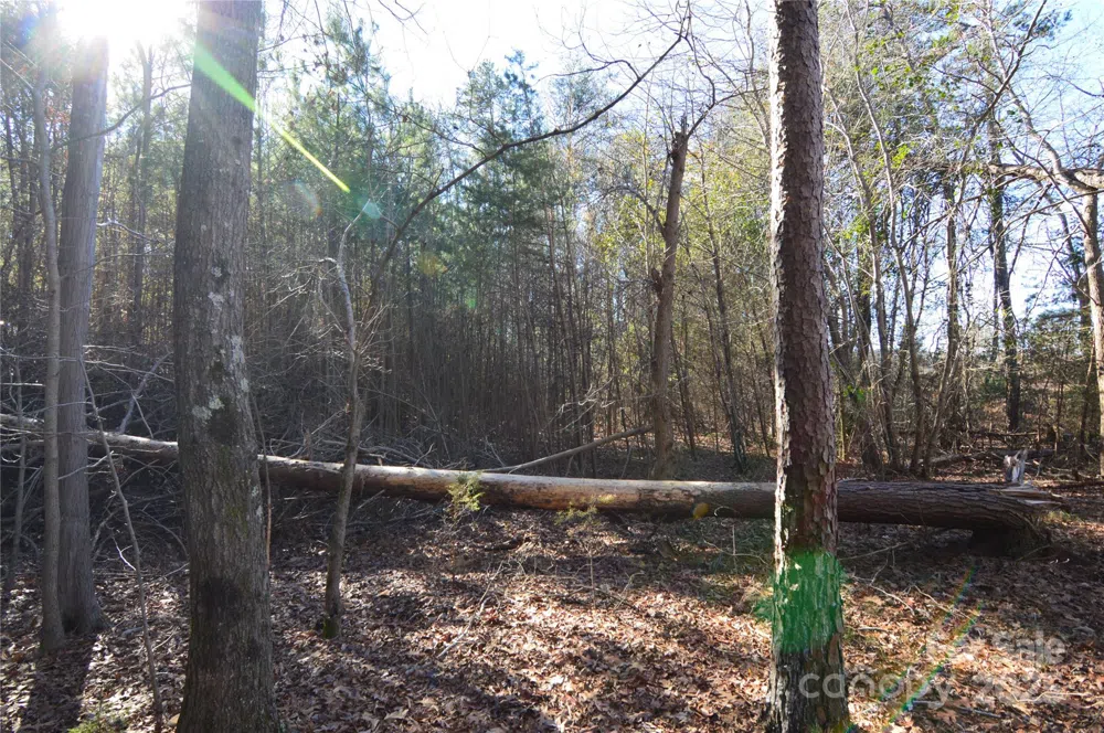 5036 Hermitage Court #211 Belmont, NC 28012