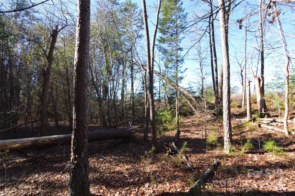 5036 Hermitage Court #211 Belmont, NC 28012