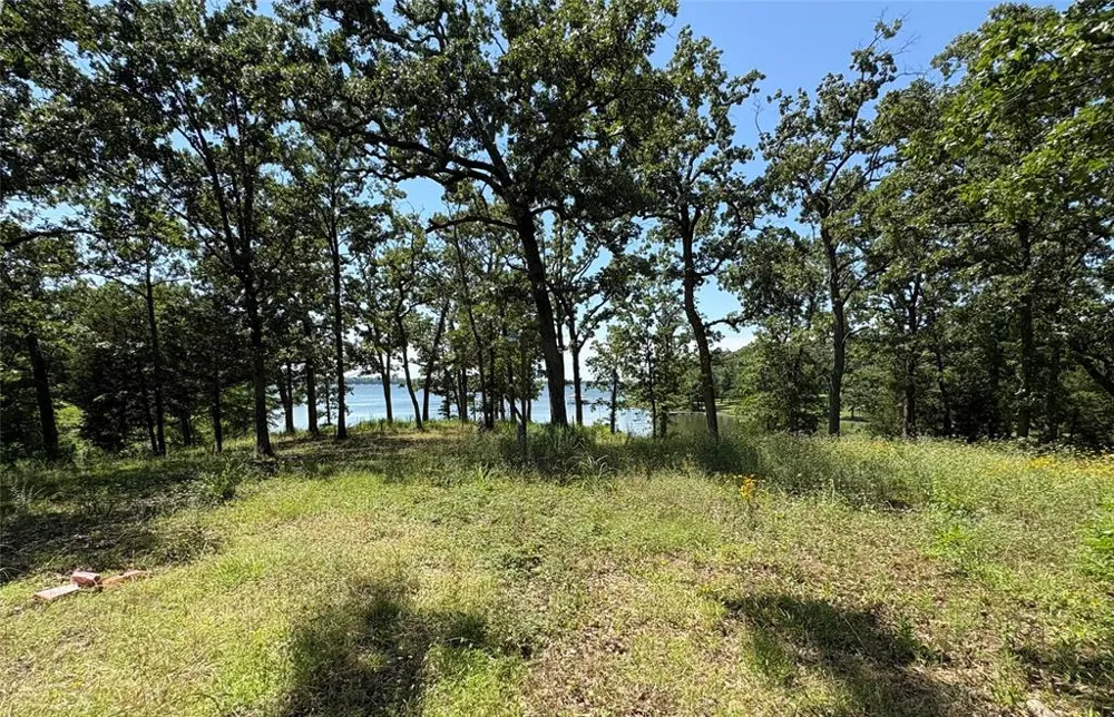 Indian Gap Road Quitman, TX 75783