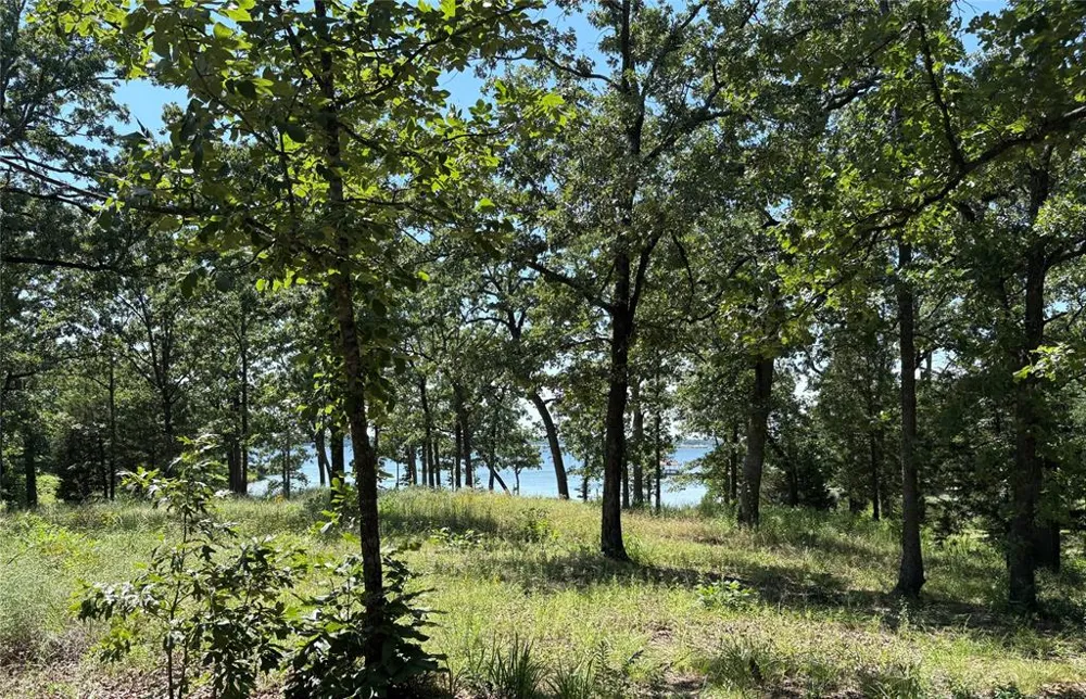 Indian Gap Road Quitman, TX 75783