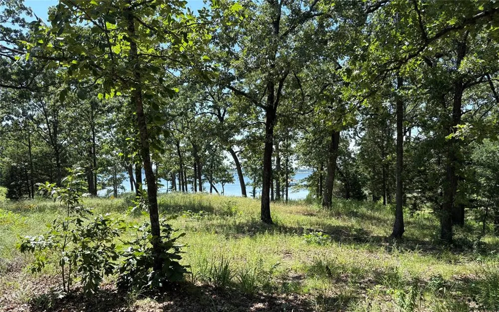 Indian Gap Road Quitman, TX 75783