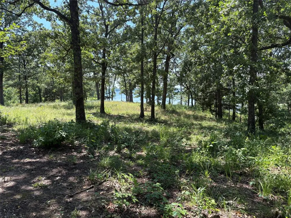 Indian Gap Road Quitman, TX 75783
