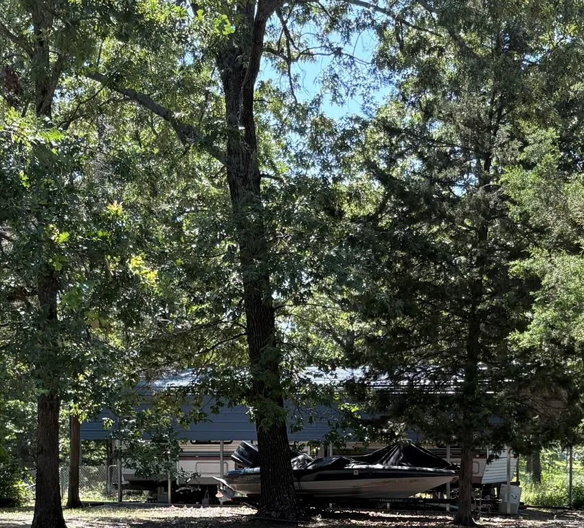 Indian Gap Road Quitman, TX 75783