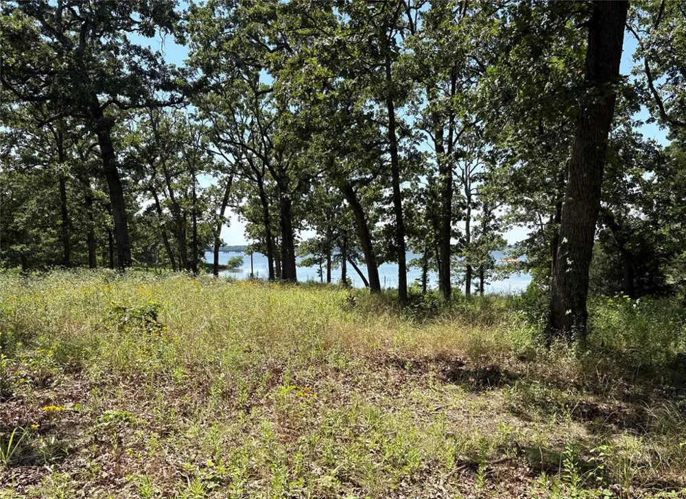 Indian Gap Road Quitman, TX 75783