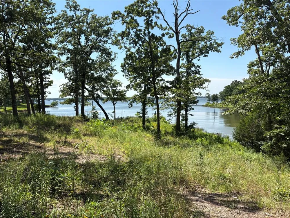 Indian Gap Road Quitman, TX 75783