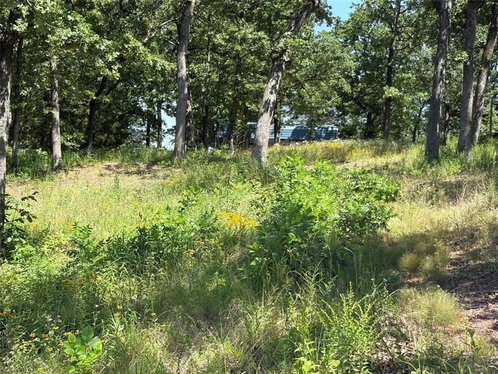 Indian Gap Road Quitman, TX 75783