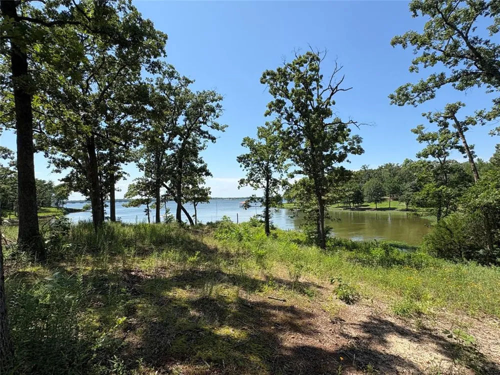 Indian Gap Road Quitman, TX 75783