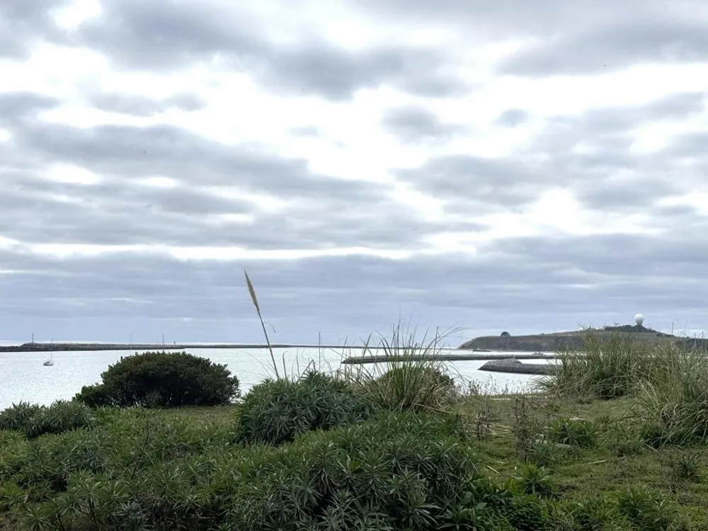 4100 Cabrillo Highway #105 Half Moon Bay, CA 94019