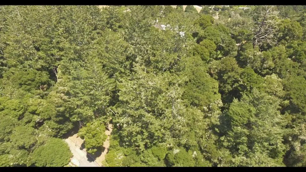 Burns Aptos, CA 95003