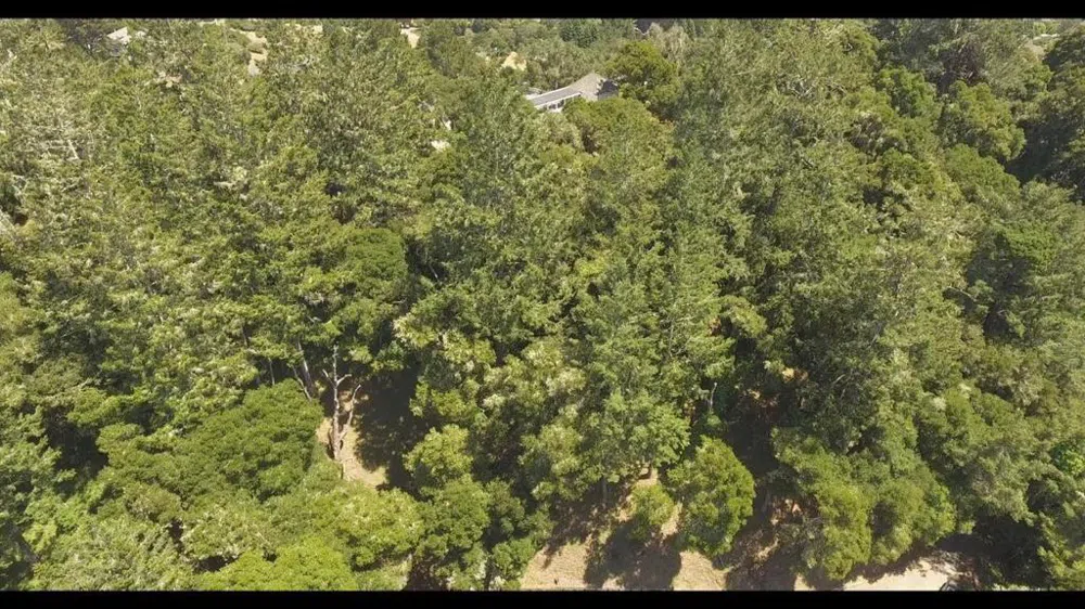 Burns Aptos, CA 95003