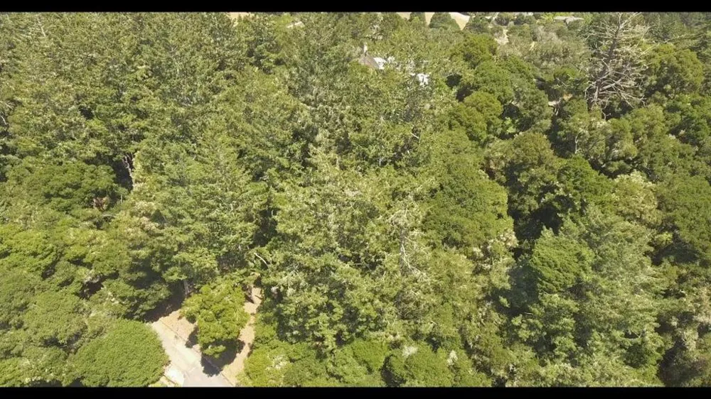 Burns Aptos, CA 95003