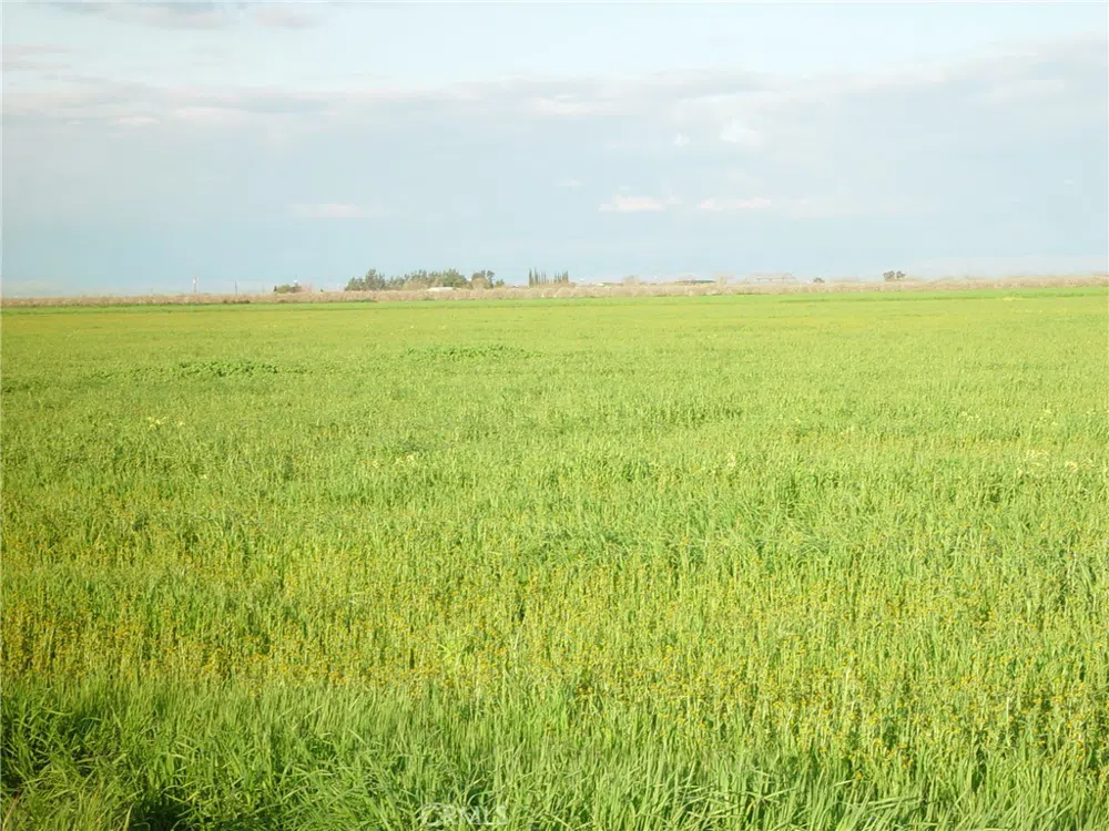 1 ROAD 18 3/4 Chowchilla, CA 93610
