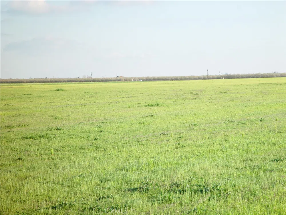 20242 AVE. 21 1/2 Chowchilla, CA 93610