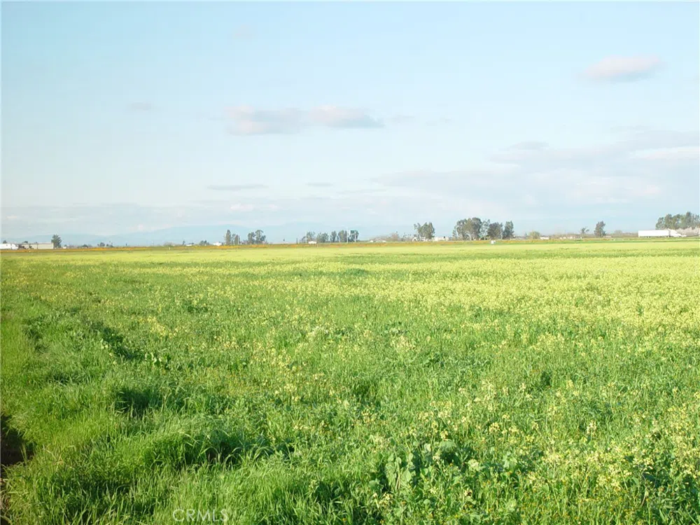 20242 AVE. 21 1/2 Chowchilla, CA 93610