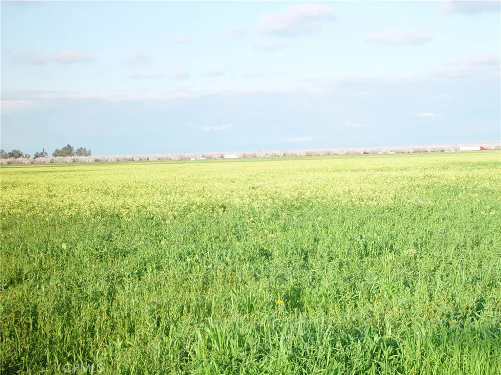 20242 AVE. 21 1/2 Chowchilla, CA 93610