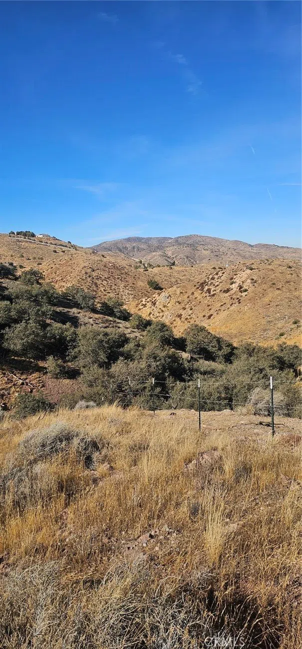 Richter Lane Acton, CA 93510
