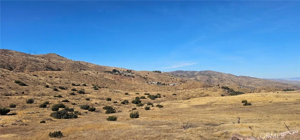 Richter Lane Acton, CA 93510