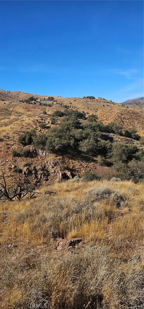 Richter Lane Acton, CA 93510