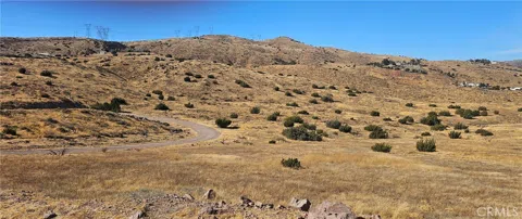 Richter Lane