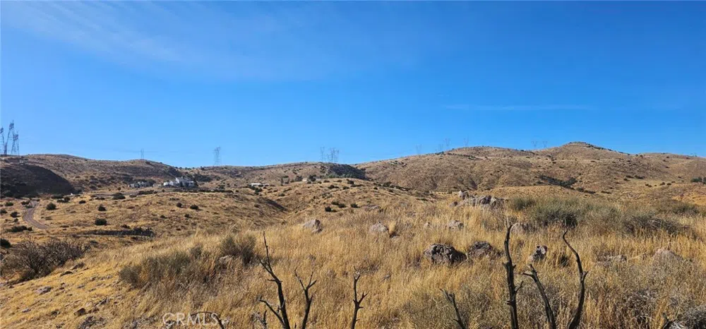 Richter Lane Acton, CA 93510