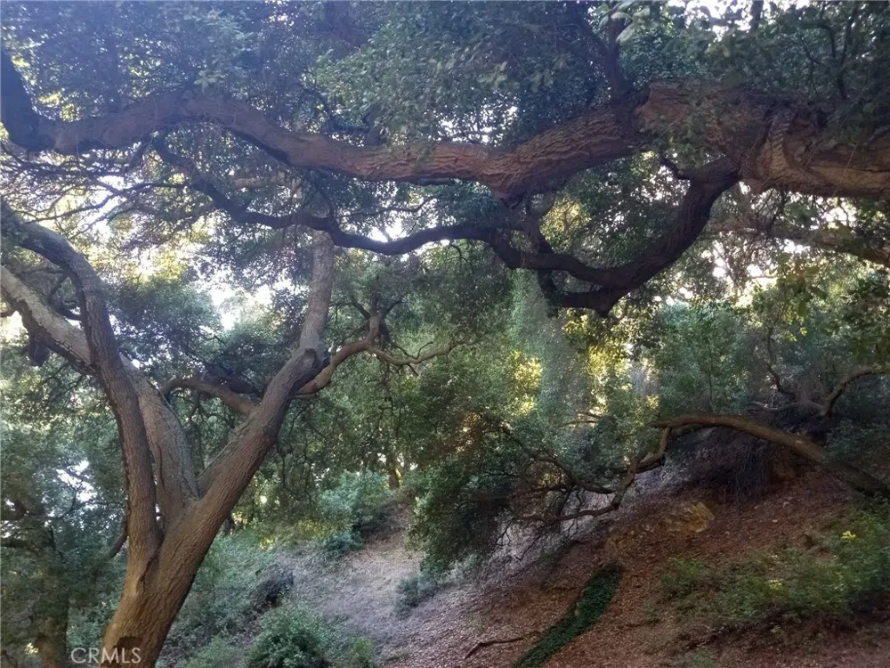 0 Claremont, CA 91711