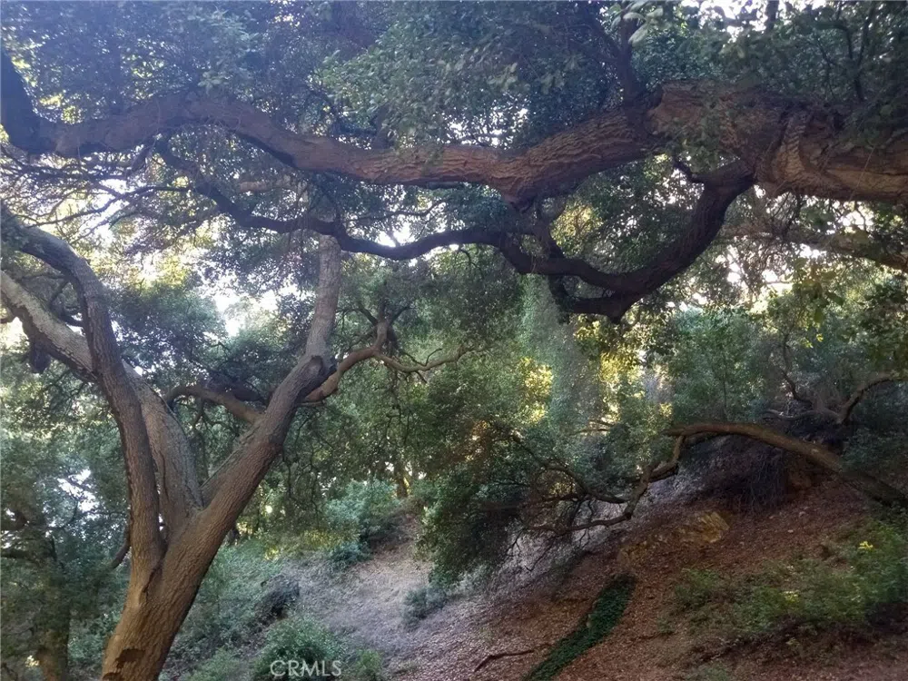 0 Claremont, CA 91711