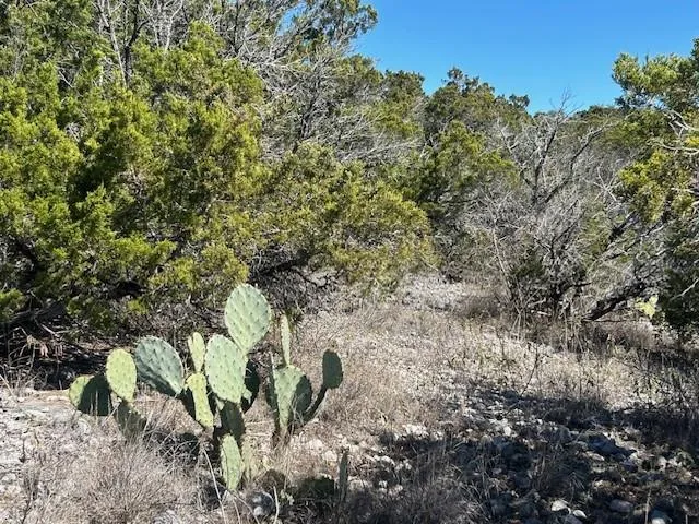 418 Private Road 1748 Road Mico, TX 78023