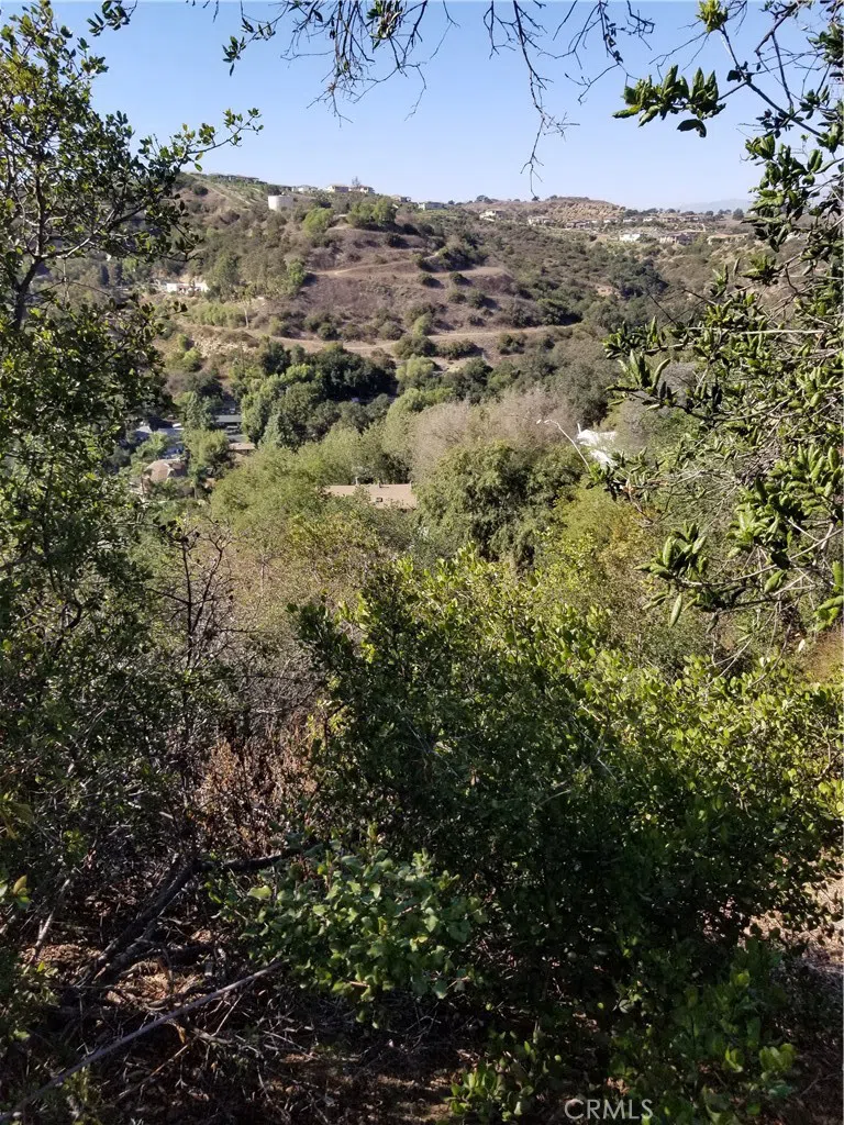 Grand View Drive Chino Hills, CA 91709